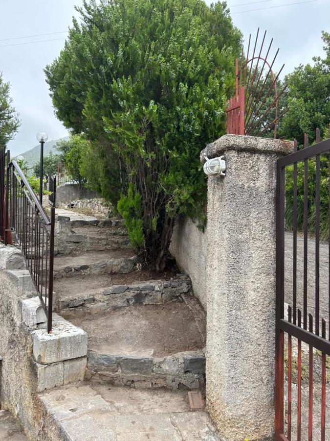 Villa Loren プラーイア・ア・マーレ エクステリア 写真