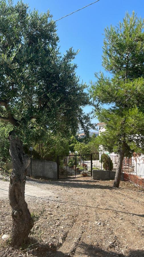 Villa Loren プラーイア・ア・マーレ エクステリア 写真