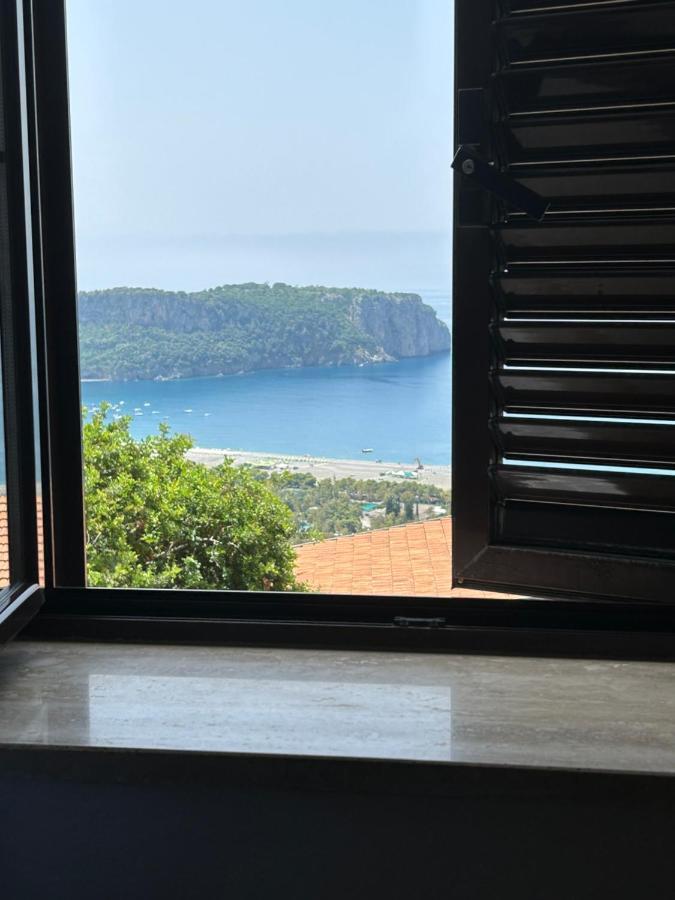 Villa Loren プラーイア・ア・マーレ エクステリア 写真
