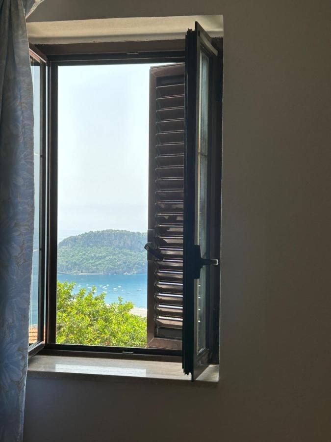 Villa Loren プラーイア・ア・マーレ エクステリア 写真